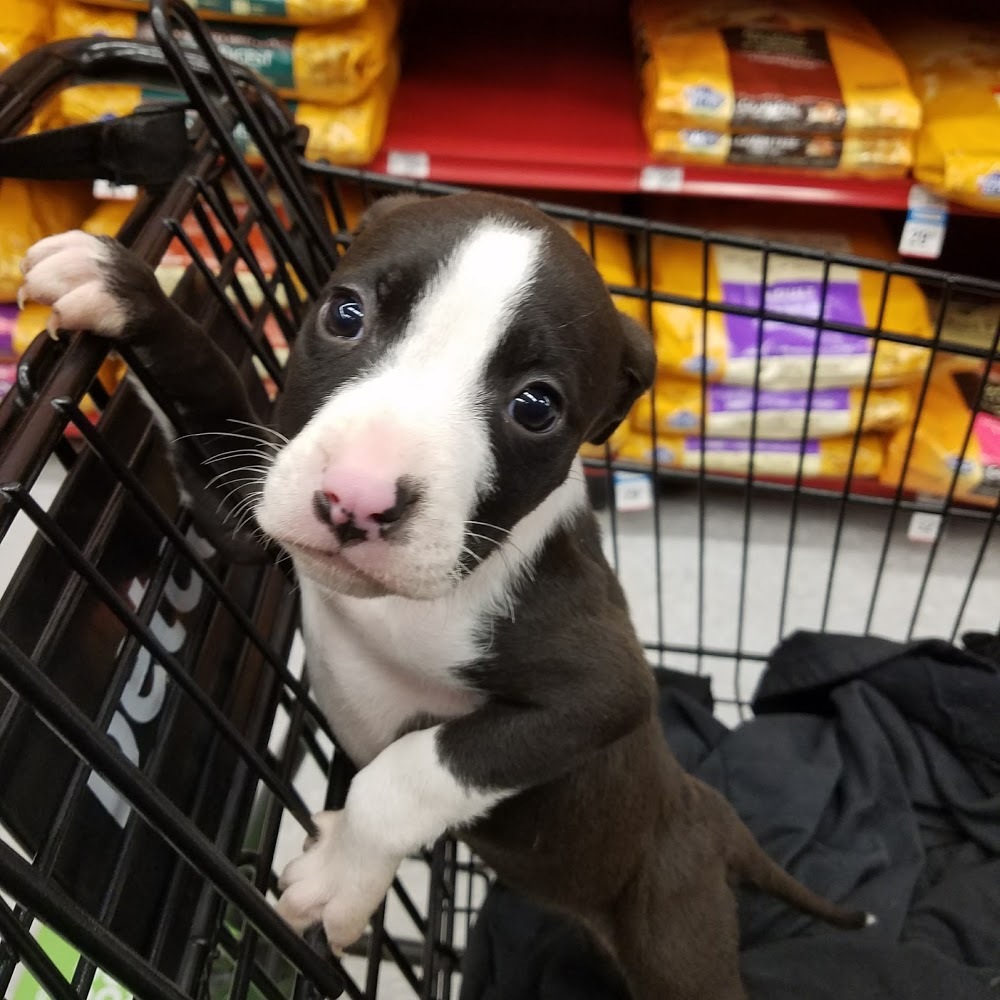 Meet your Posher, Phlow